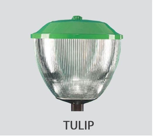 Đèn TULIP